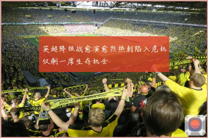 英超降级战愈演愈烈热刺陷入危机仅剩一席生存机会